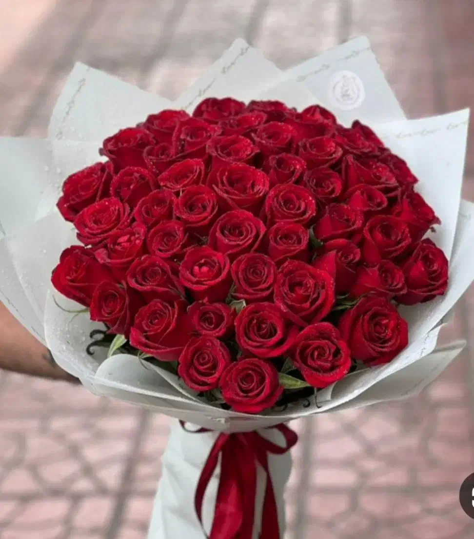 شاخه گل رز هلندی انواع دسته گل|گل و گیاه طبیعی|تهران, والفجر (افسریه)|دیوار