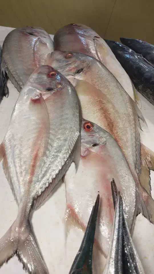 ماهی فروشی صیاد|خوردنی و آشامیدنی|فولادشهر, فولادشهر|دیوار