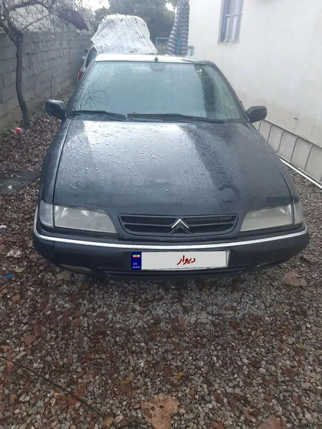 زانتیا ۸۱ نقد و اقساط|خودرو سواری و وانت|اسالم, |دیوار