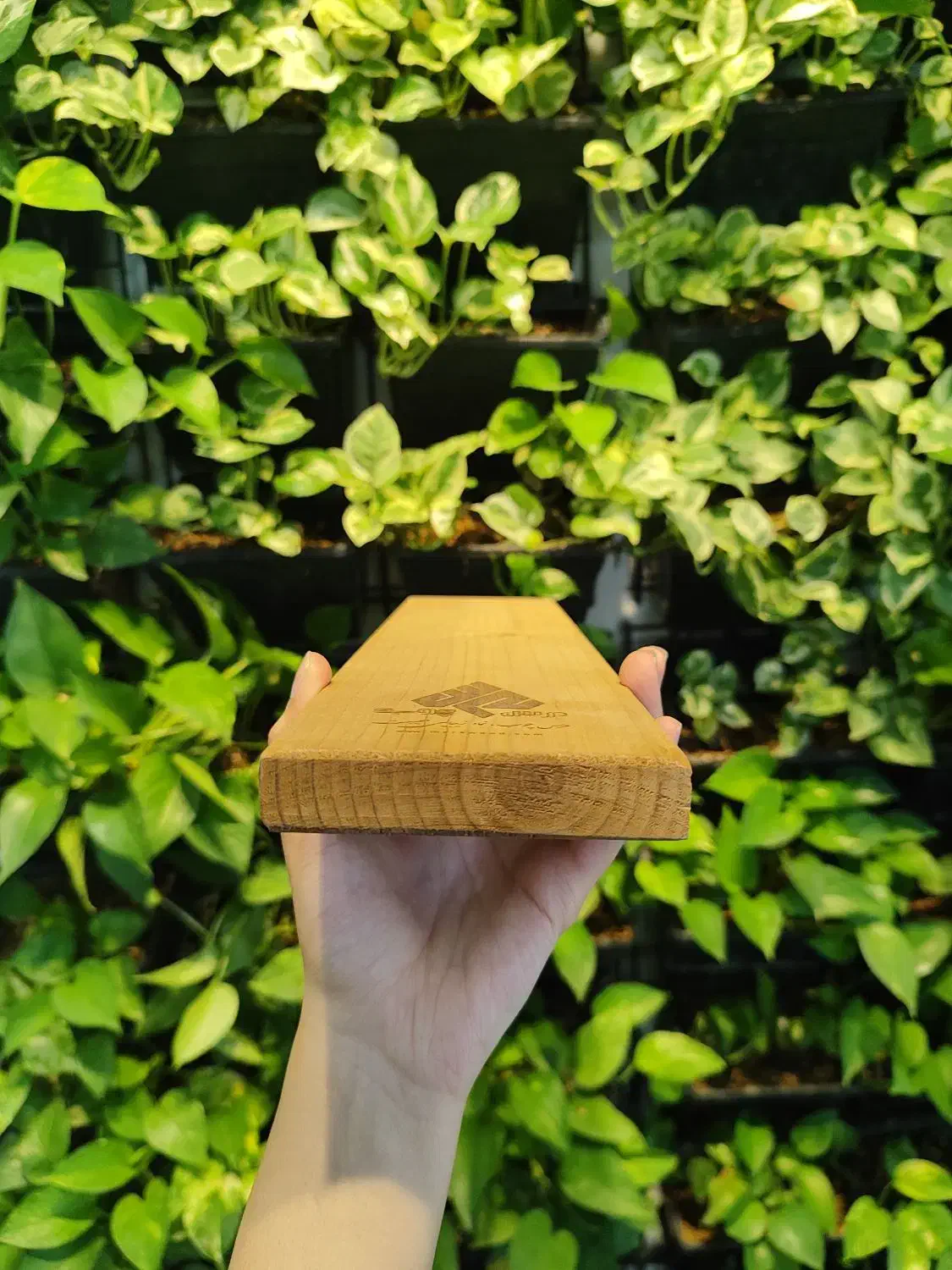 چوب ترمو روس|عمدهفروشی|اصفهان, تخت فولاد|دیوار