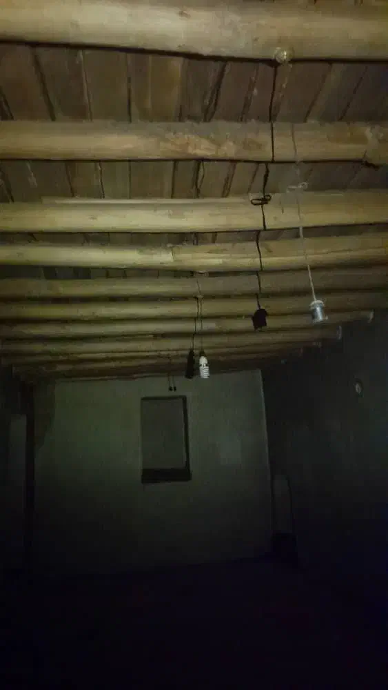 خرید و فروش چوب خشک و تر قاسمی.|خدمات باغبانی و درختکاری|ارومیه, |دیوار