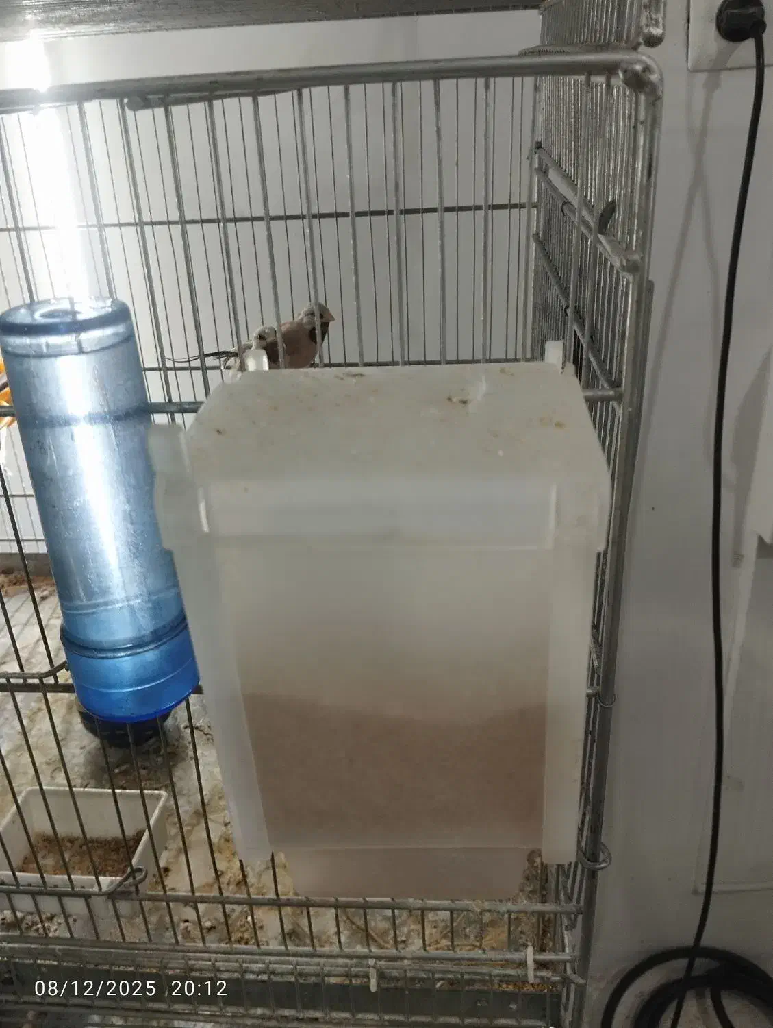 جای دونی پرنده|لوازم جانبی حیوانات|ری, صفاییه (چشمه علی)|دیوار