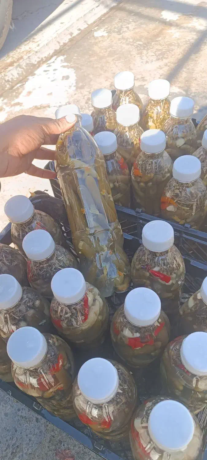 خیارشور درجه ۱|خوردنی و آشامیدنی|اشترینان, |دیوار