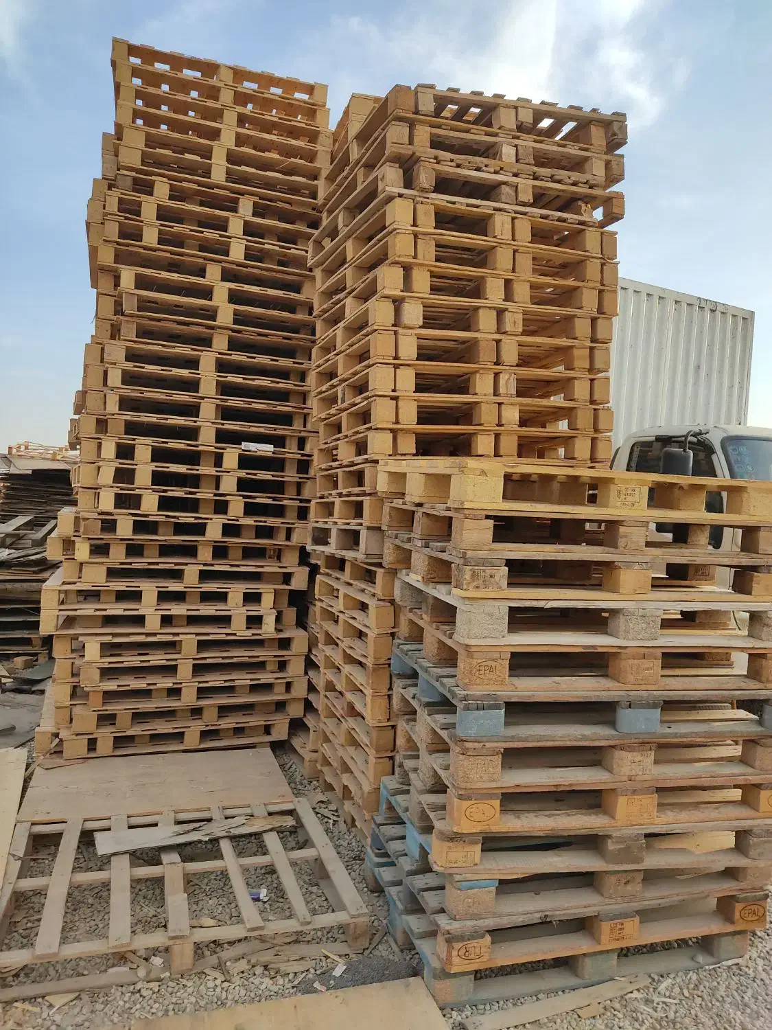 انواع چوب|عمده‌فروشی|رباط‌کریم, رباط‌کریم|دیوار