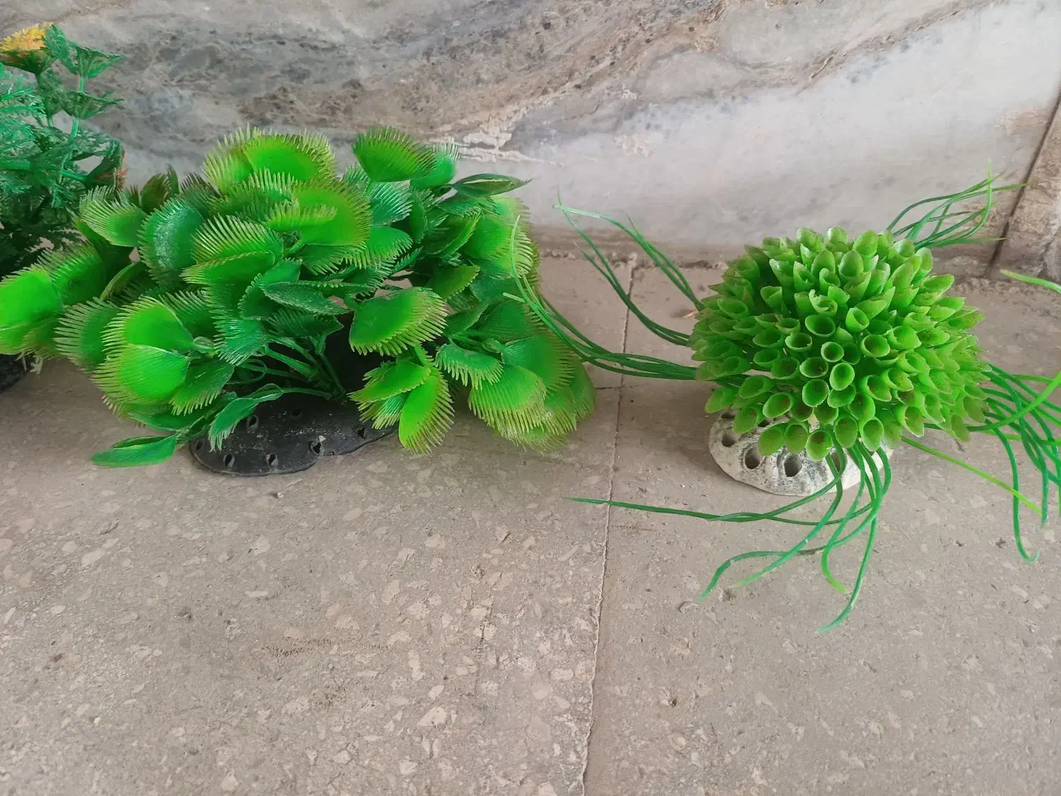 وسایل آکواریوم|ماهی|قزوین, |دیوار