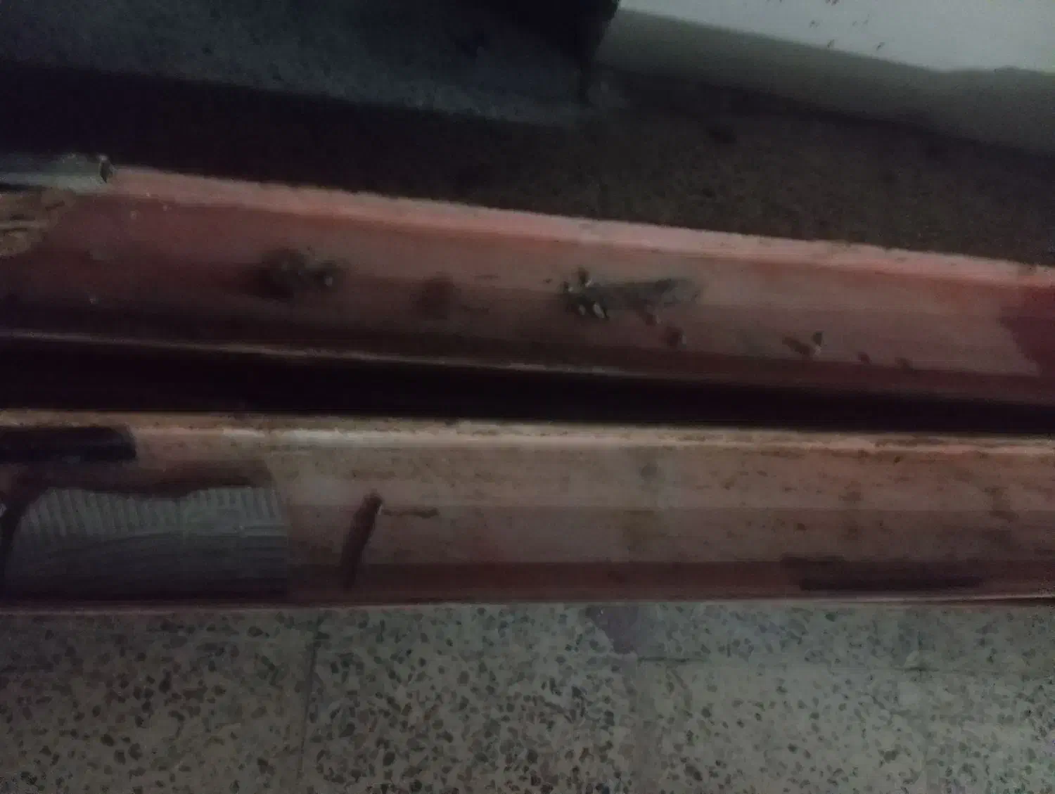 فروش بیم ۱۴|مصالح و تجهیزات ساختمان|آبدانان, |دیوار