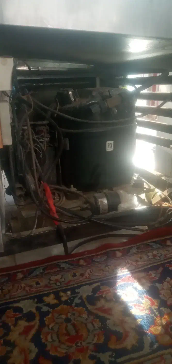 یخچال مغازه|یخچال و فریزر|بن, |دیوار