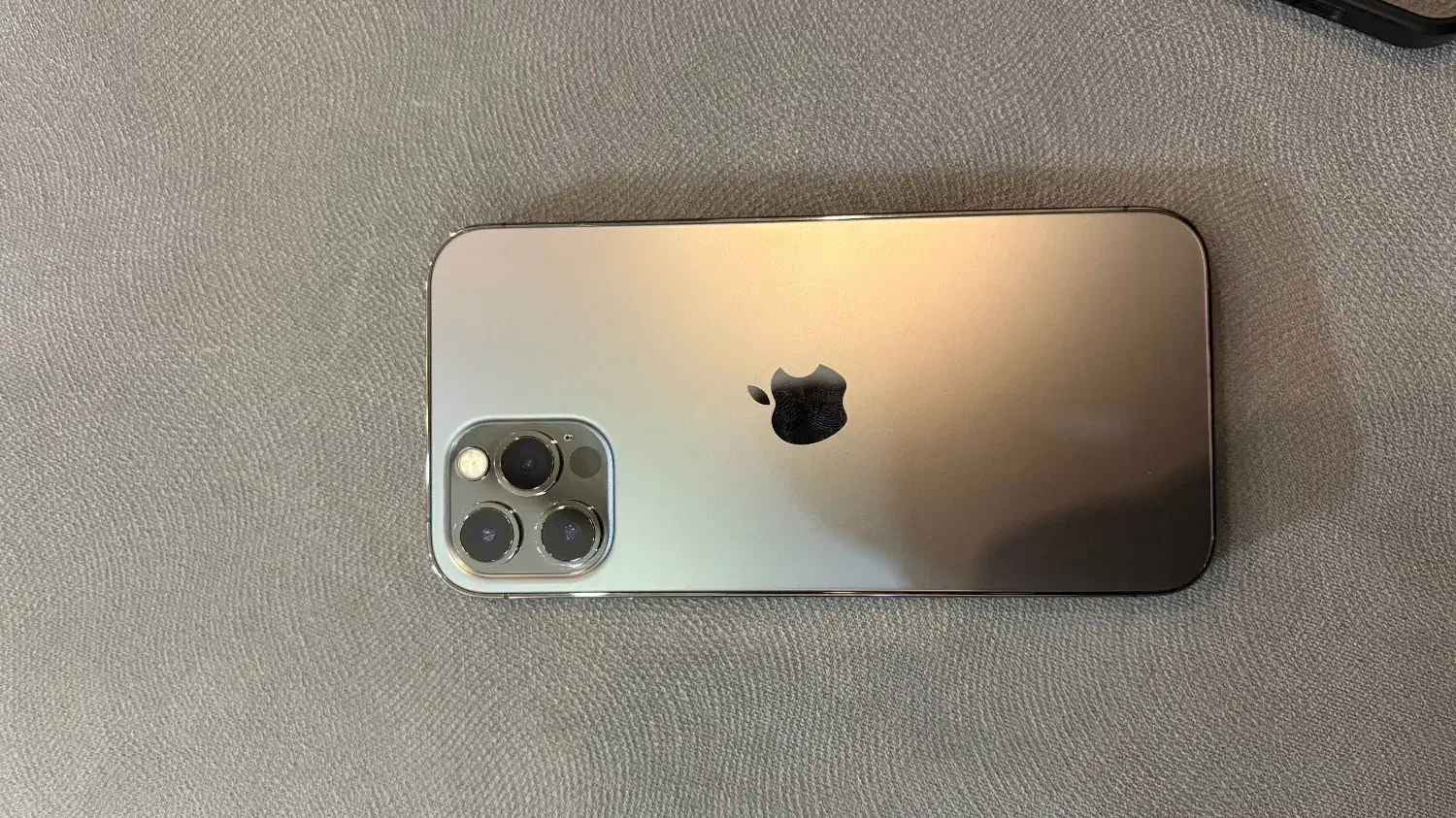 12پرو|موبایل|رشت, کاکتوس|دیوار