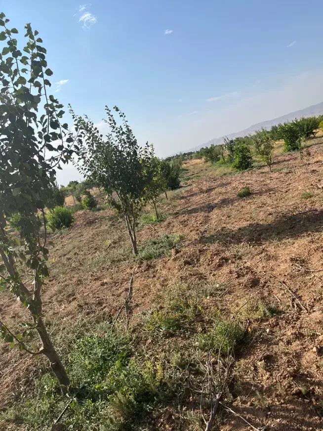 باغشهر ساوالان|فروش زمین و ملک کلنگی|زنجان, |دیوار