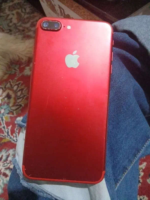 7plus|موبایل|رشت, ساغری سازان|دیوار