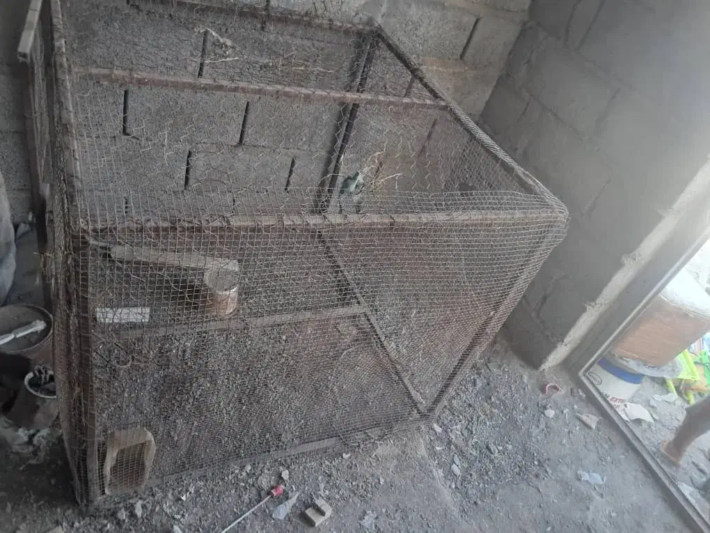 قفس بزرگ|لوازم جانبی حیوانات|میناب, |دیوار