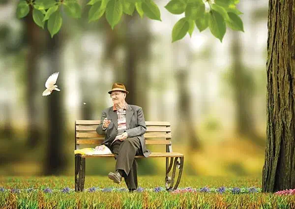 آینده‌ای مطمئن با بیمه امید بازنشستگی|خدمات مالی، حسابداری، بیمه|قم, عمار یاسر|دیوار