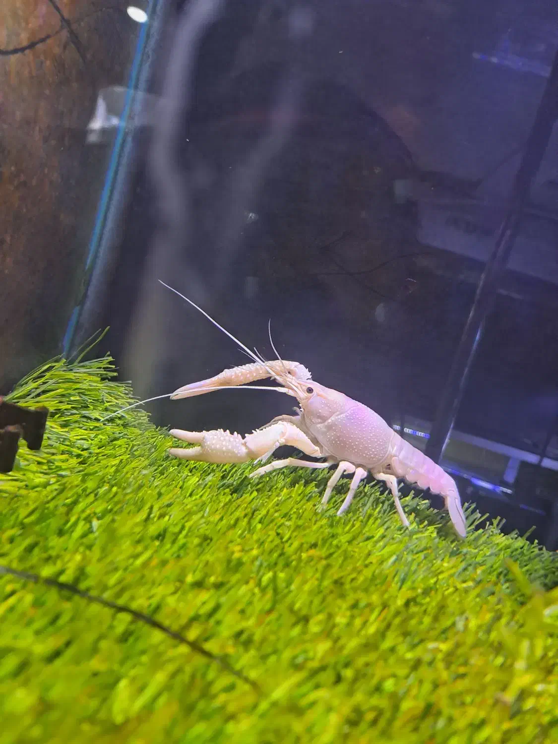 آکواریوم فروشی|استخدام بازاریابی و فروش|تهران, سلسبیل جنوبی|دیوار