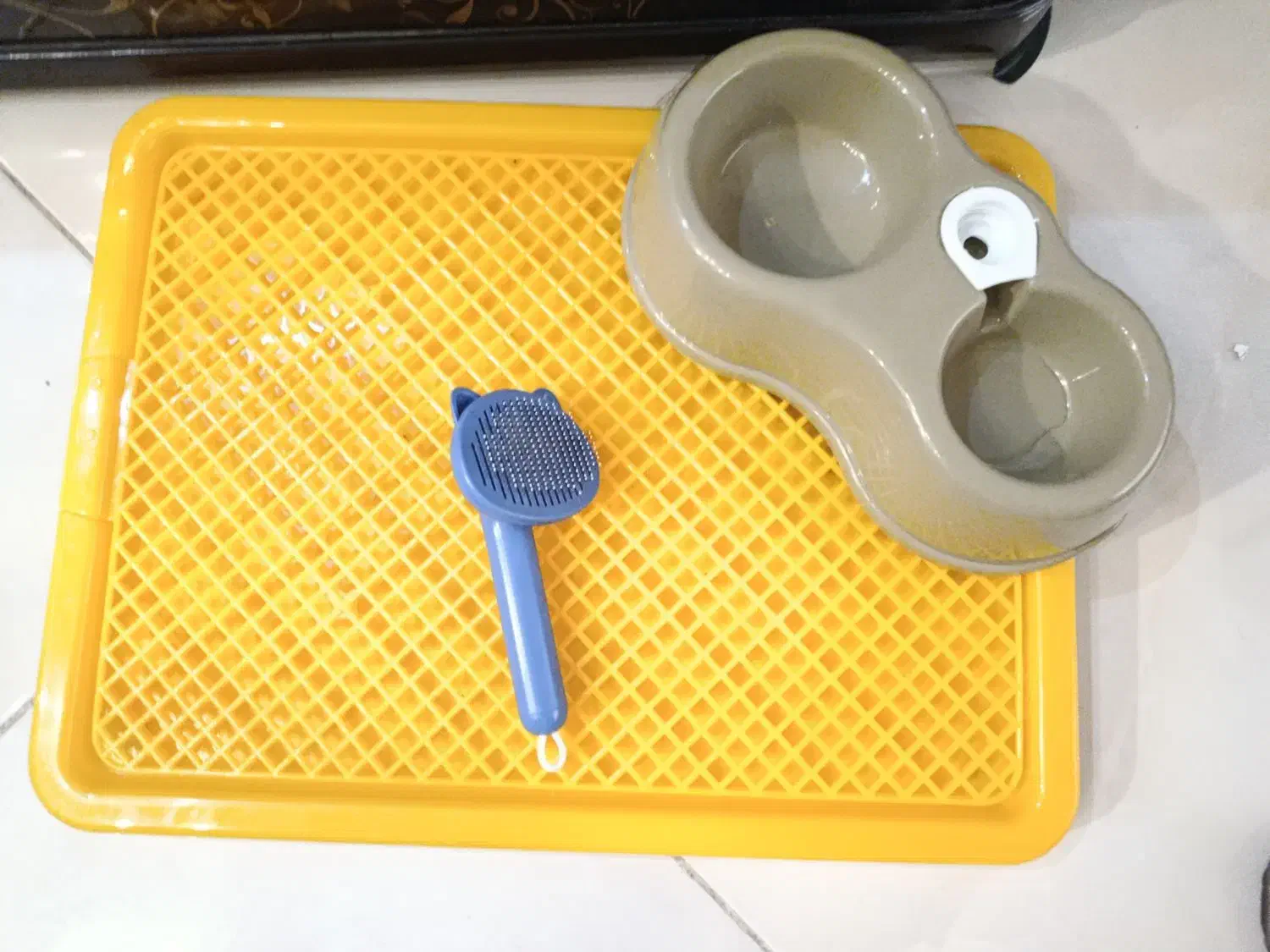 وسایل سگ پت|لوازم جانبی حیوانات|مشهد, نیروی هوایی|دیوار