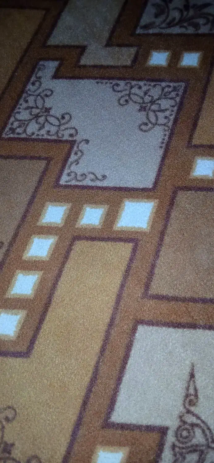 موکت طرحدار|موکت|رشت, پیرکلاچای|دیوار