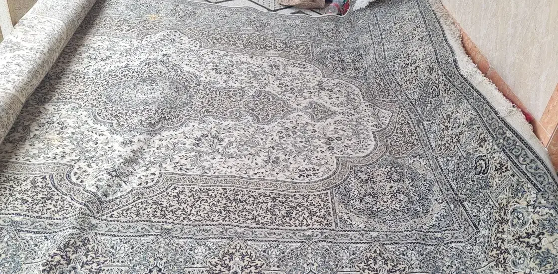 فرش 12 متری|فرش|رودسر, |دیوار