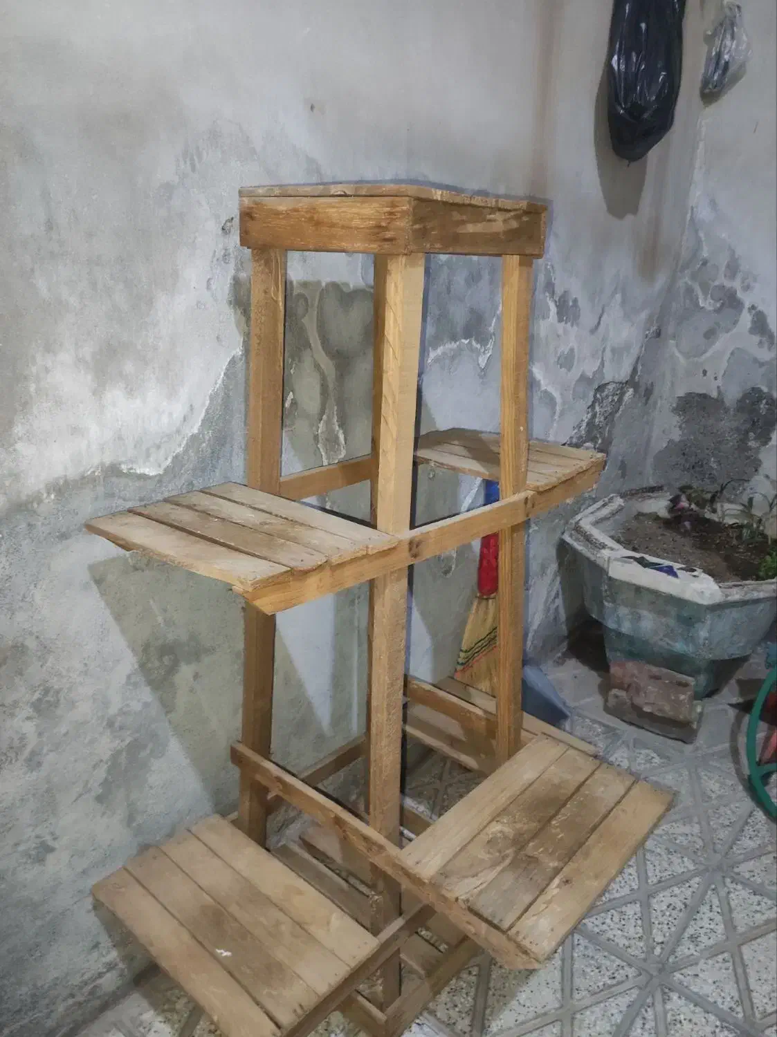 پایه گل|گل و گیاه طبیعی|نیشابور, سرآب کوشک|دیوار