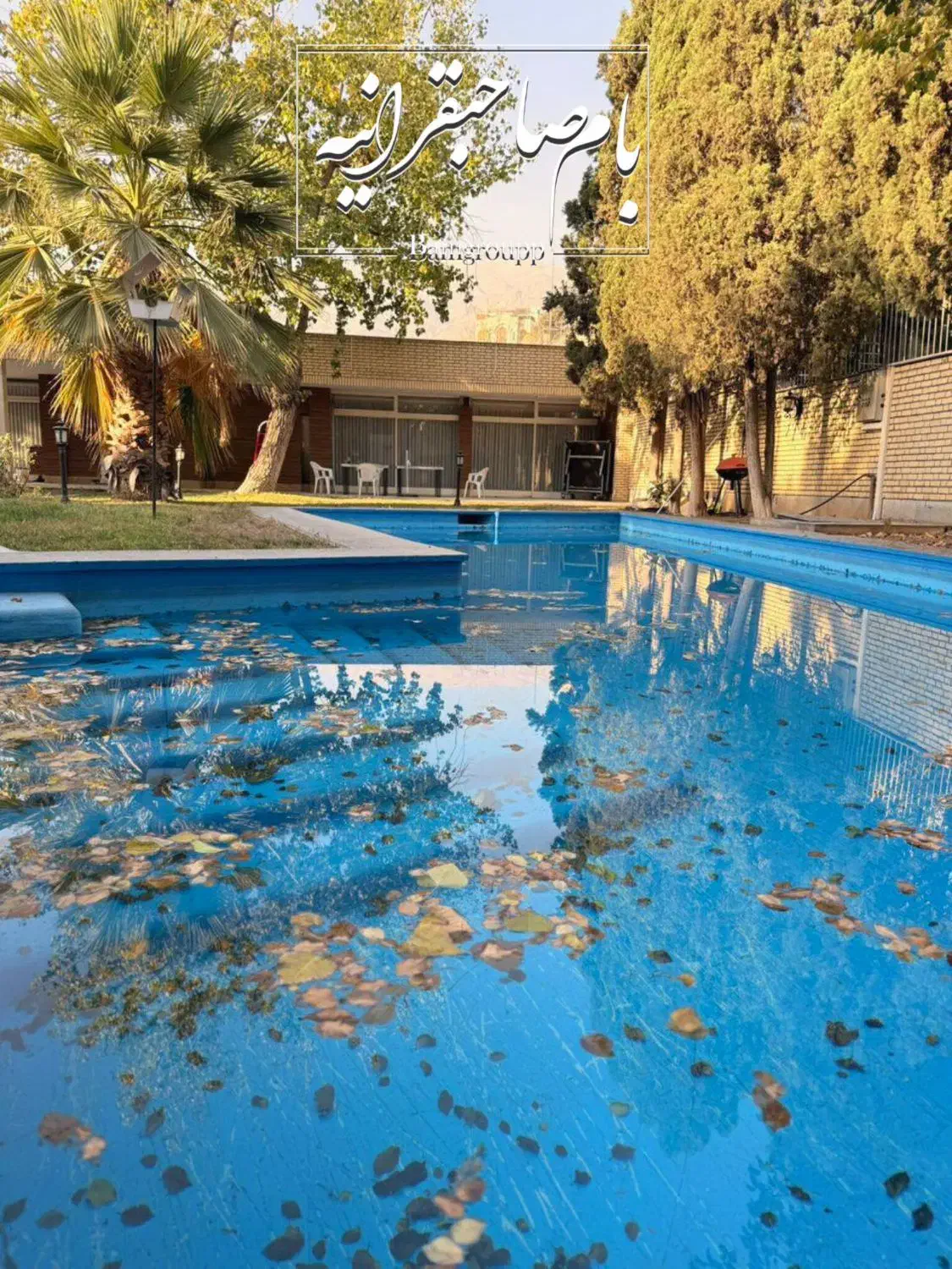 مختص خاص پسندان                          در قیطریه