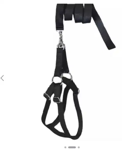 قلاده گربه و سگ|لوازم جانبی حیوانات|تهران, سبلان (لشگر)|دیوار