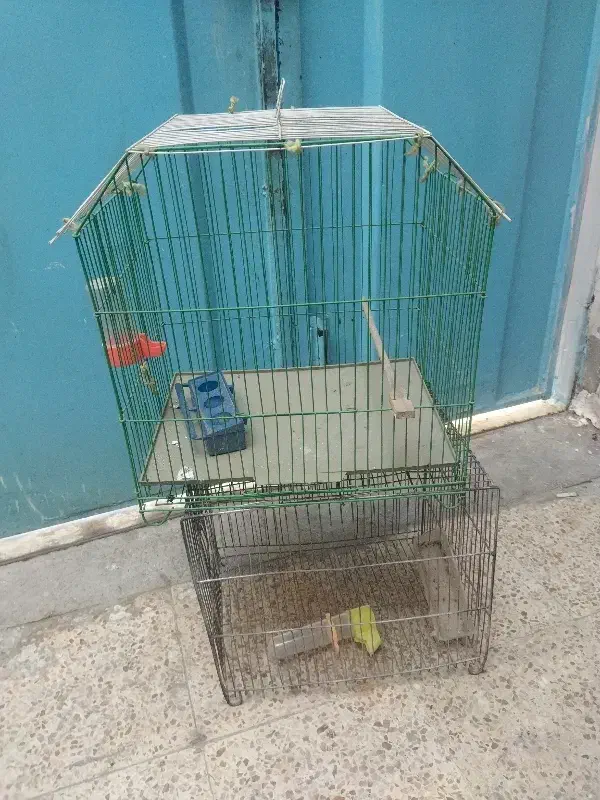 قفس پرنده|لوازم جانبی حیوانات|اهواز, کوی رمضان|دیوار