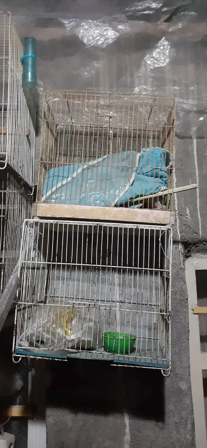 قفس پرنده|لوازم جانبی حیوانات|مشهد, شهید قربانی|دیوار