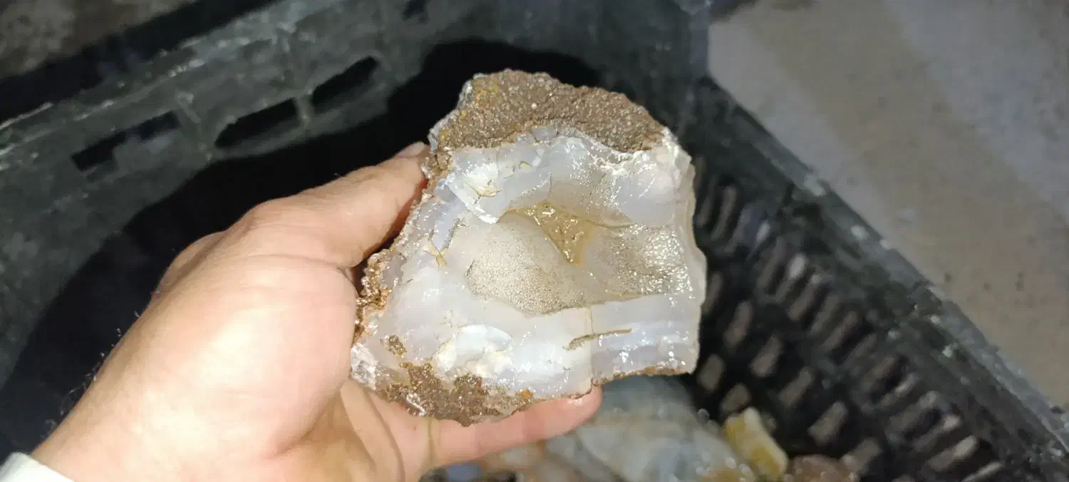 کلکسیونی|کلکسیون اشیاء عتیقه|کرمان, |دیوار