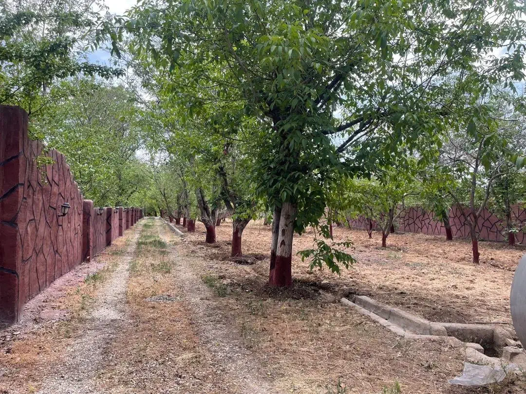 ویلا باغ ۲۲۰۰ متری ۲ عدد کنتور برق،۲ عدد کنتور گاز|فروش خانه و ویلا|دماوند, دماوند|دیوار