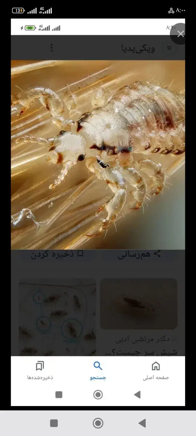 پاکن مو دریک مرحله|آرایشی، بهداشتی، درمانی|نیشابور, چمبران|دیوار