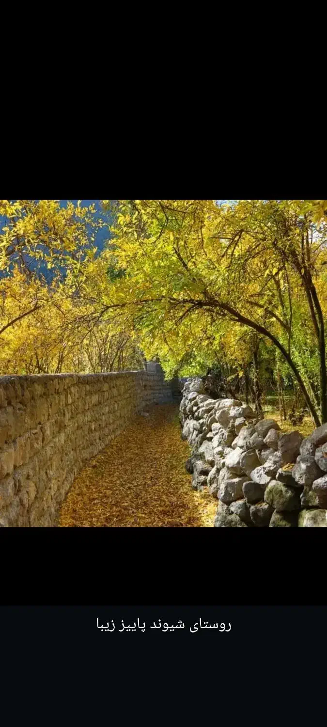 تور بانوان و خانواده تقدیم‌میکند|تور و چارتر|اهواز, دانشگاه چمران|دیوار