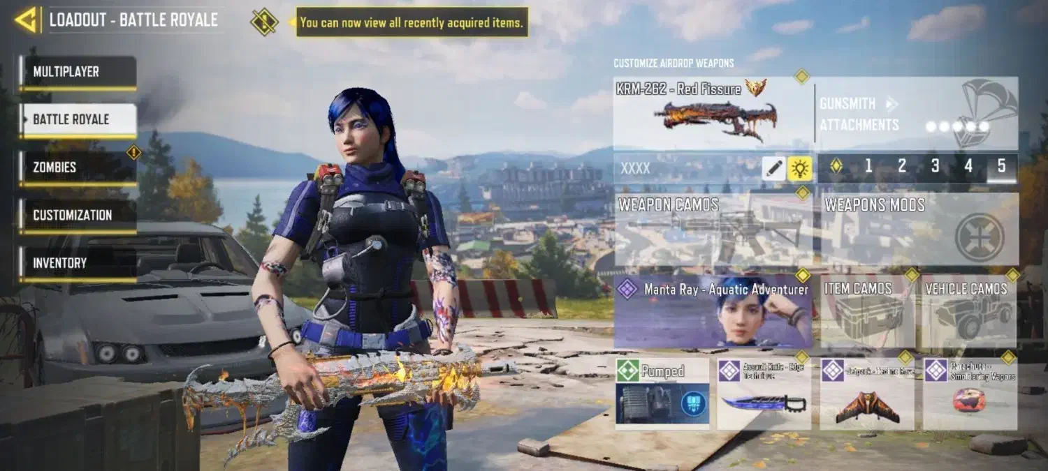 اکانت ندای وظیفه|کنسول، بازی ویدئویی و آنلاین|صدرا-فارس, فاز ۱|دیوار