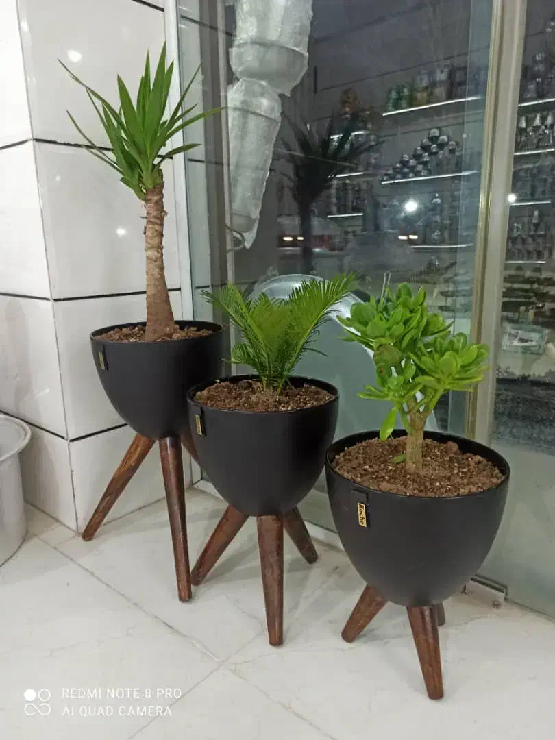 فروش اجناس کامل مغازه|فروشگاه و مغازه|ایلام, |دیوار