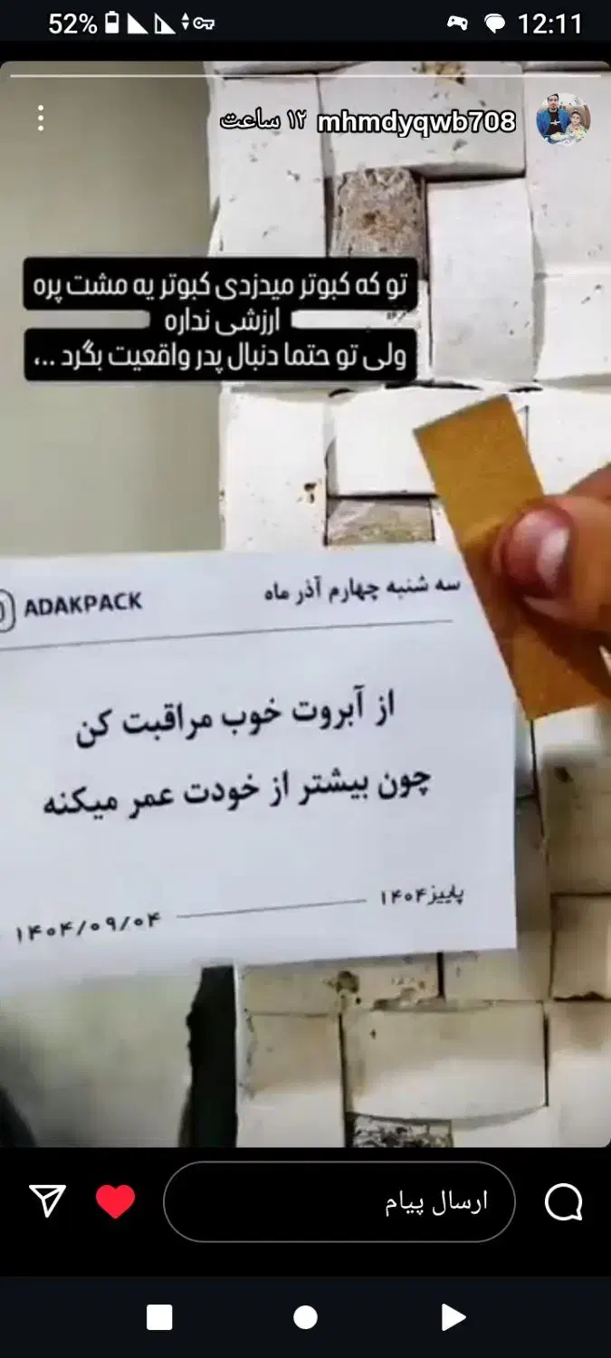 کفتر گمشده|حیوانات|اشترینان, |دیوار