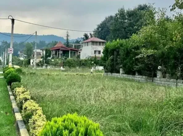 فروش زمین افساطی بدون بهره ویو جنگل منطقه امن|فروش زمین و ملک کلنگی|چمستان, |دیوار