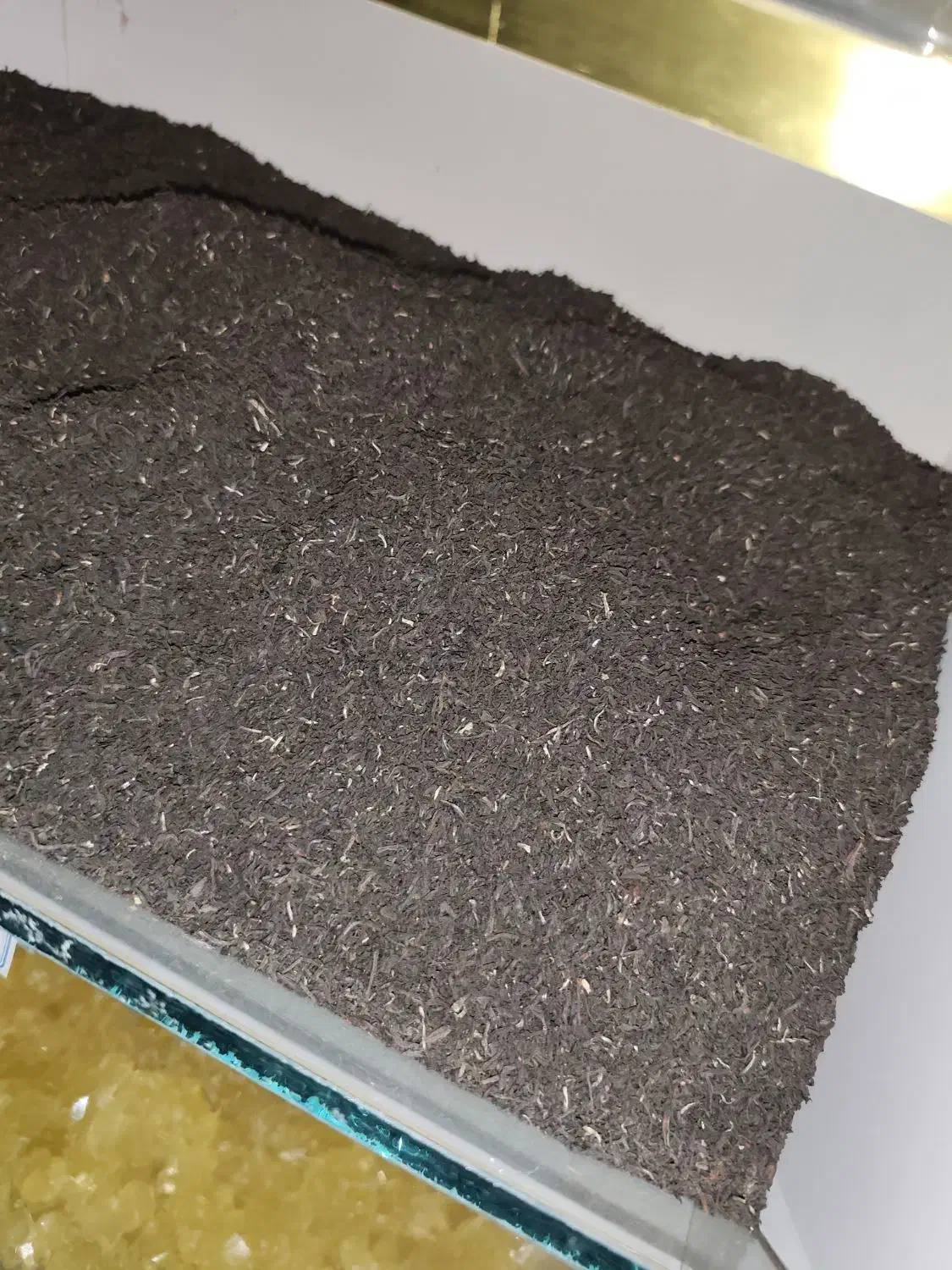 چای و قهوه|عمده‌فروشی|ایوان, |دیوار