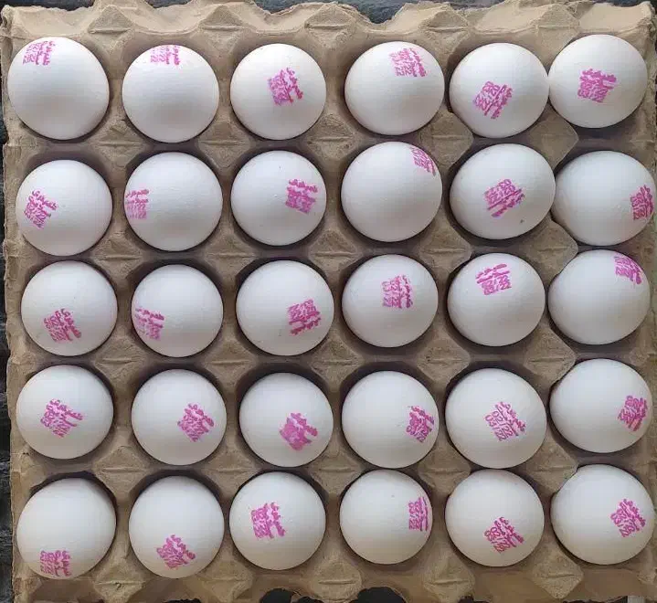 پخش و توزیع مستقیم تخم مرغ|خوردنی و آشامیدنی|مشهد, موسوی قوچانی|دیوار