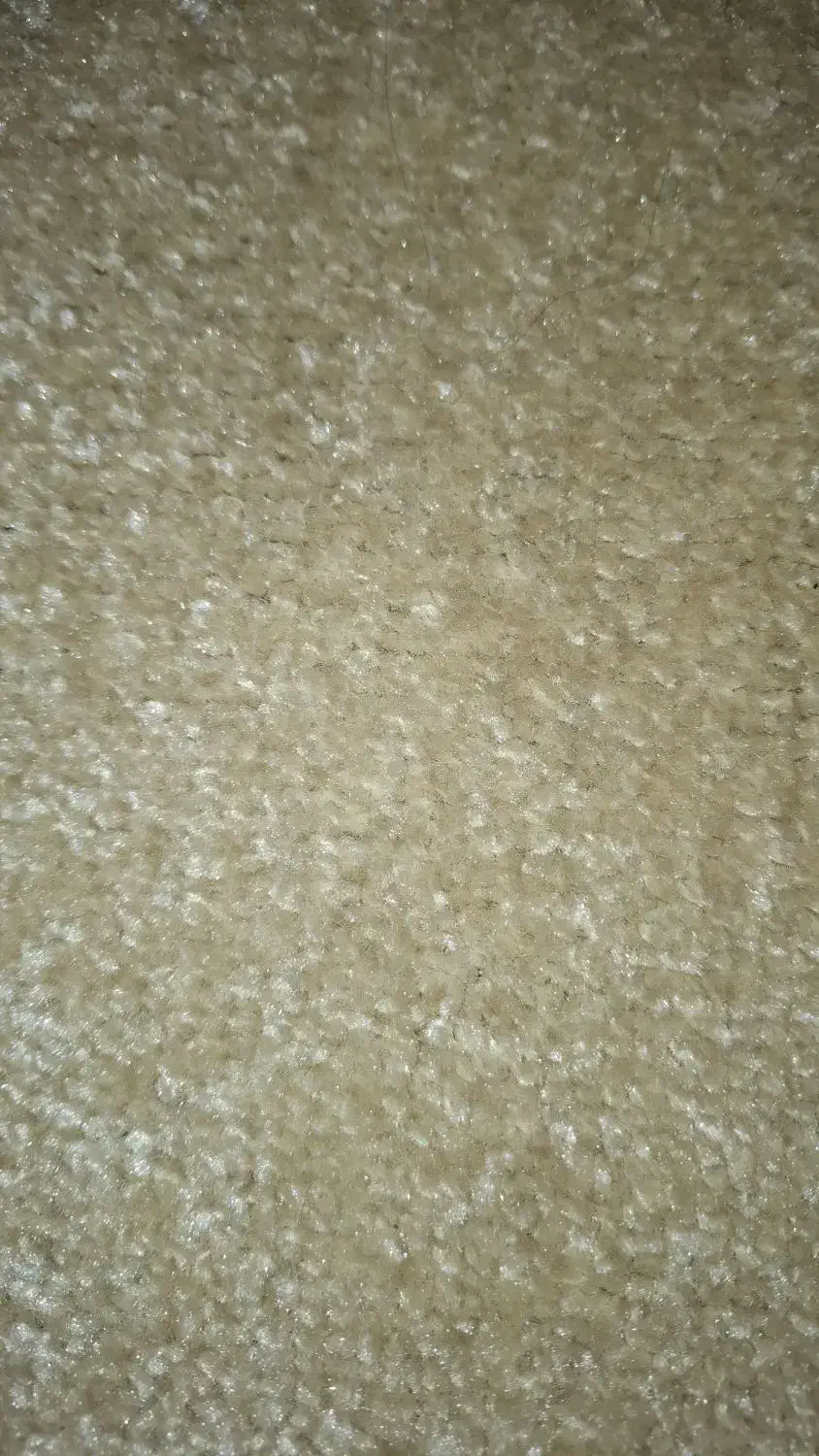 پالاز موکت|موکت|همدان, |دیوار