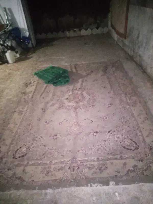 2عدد فر‌ش9متری **فروش فوری**|فرش|چالوس, |دیوار