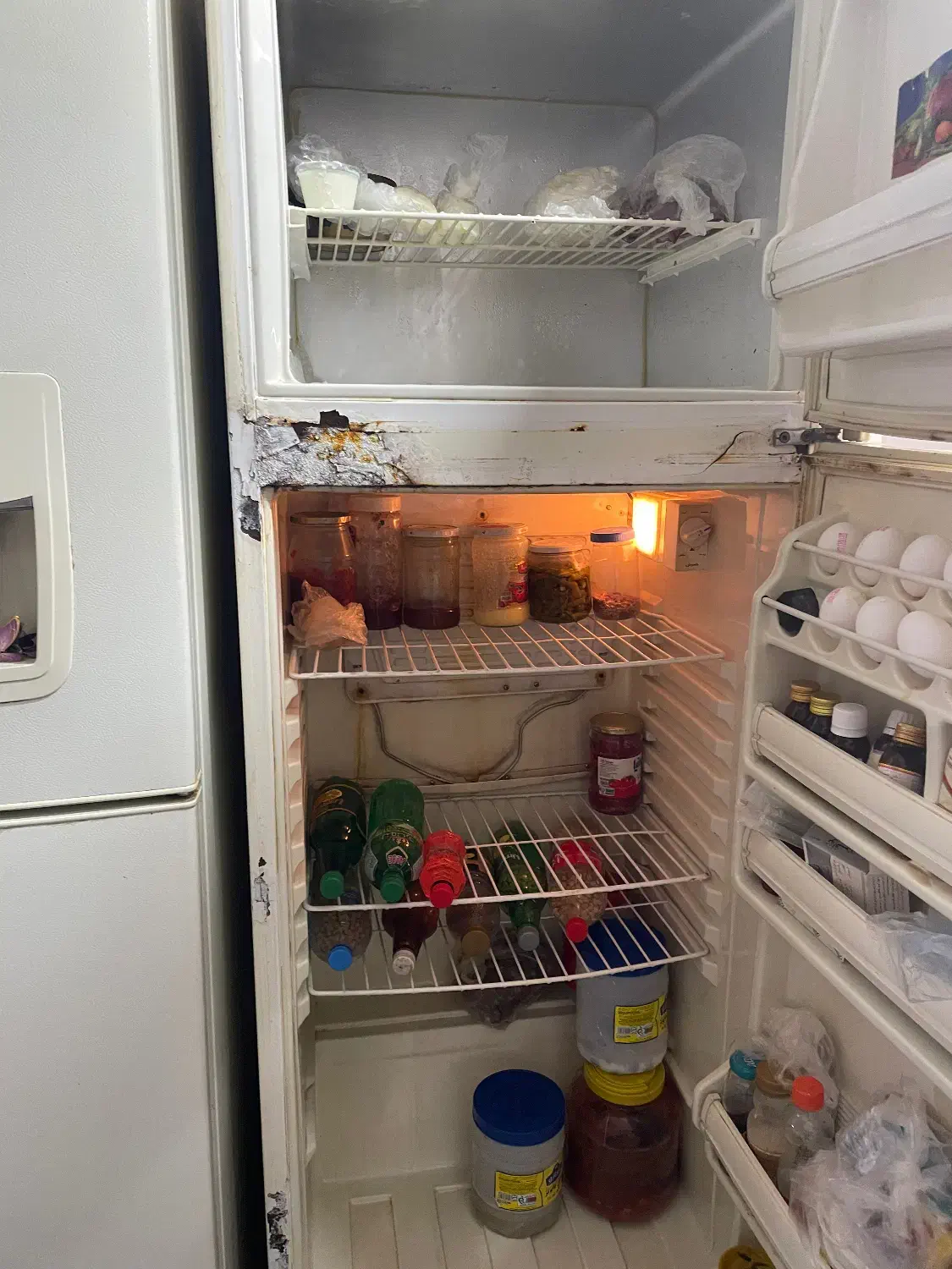 یخچال هیمالیا|یخچال و فریزر|مشهد, شهید قربانی|دیوار