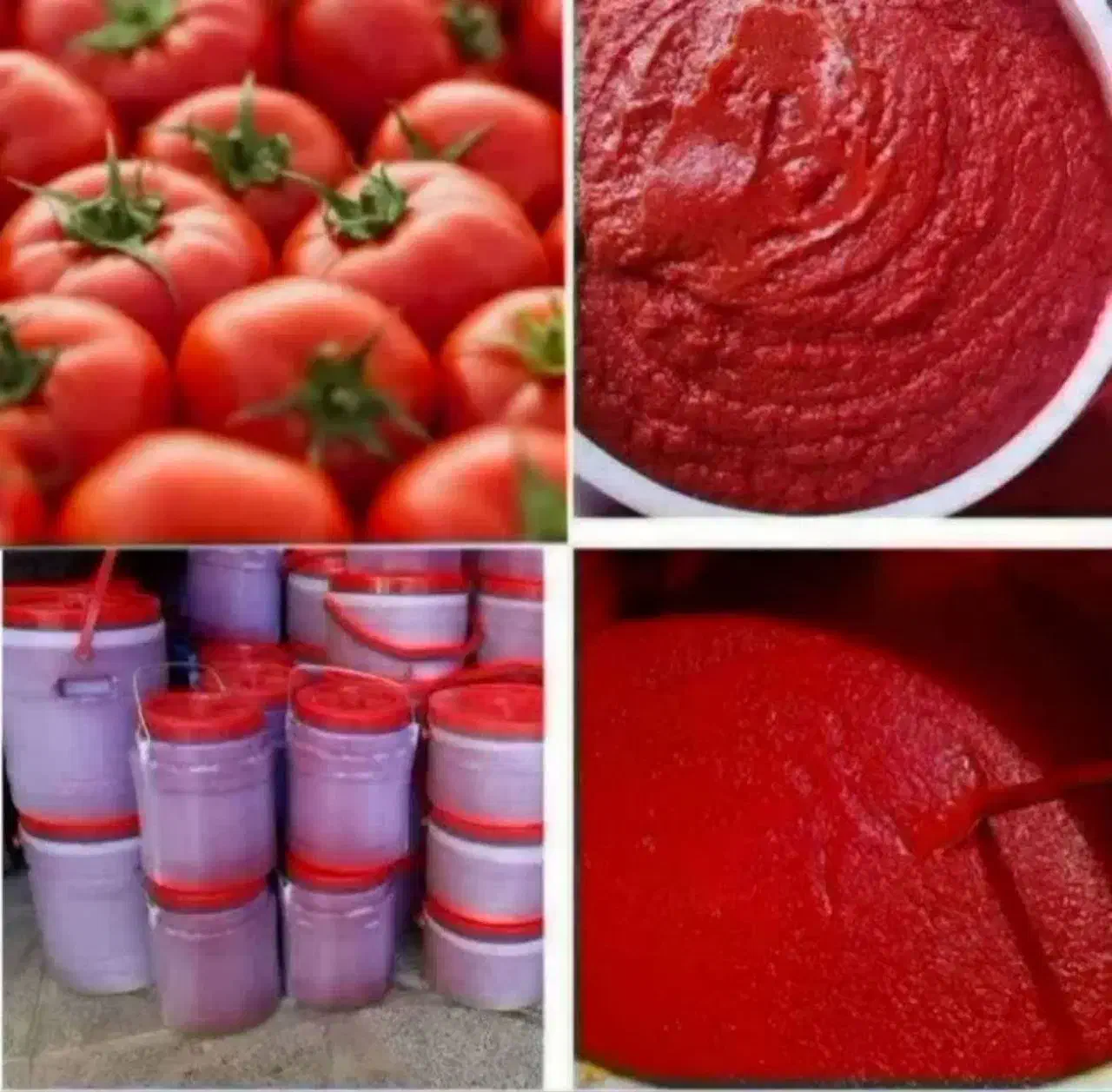 رب خانگی وآبغوره|خوردنی و آشامیدنی|شاهین‌شهر, گزبرخوار|دیوار
