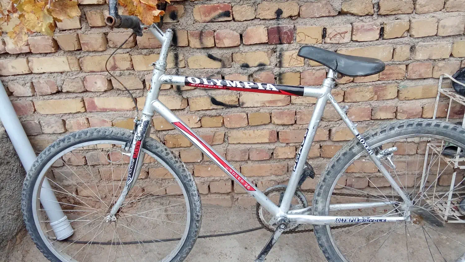 دوچرخه هافروشی|دوچرخه، اسکیت، اسکوتر|تربت جام, شهرک معلم|دیوار