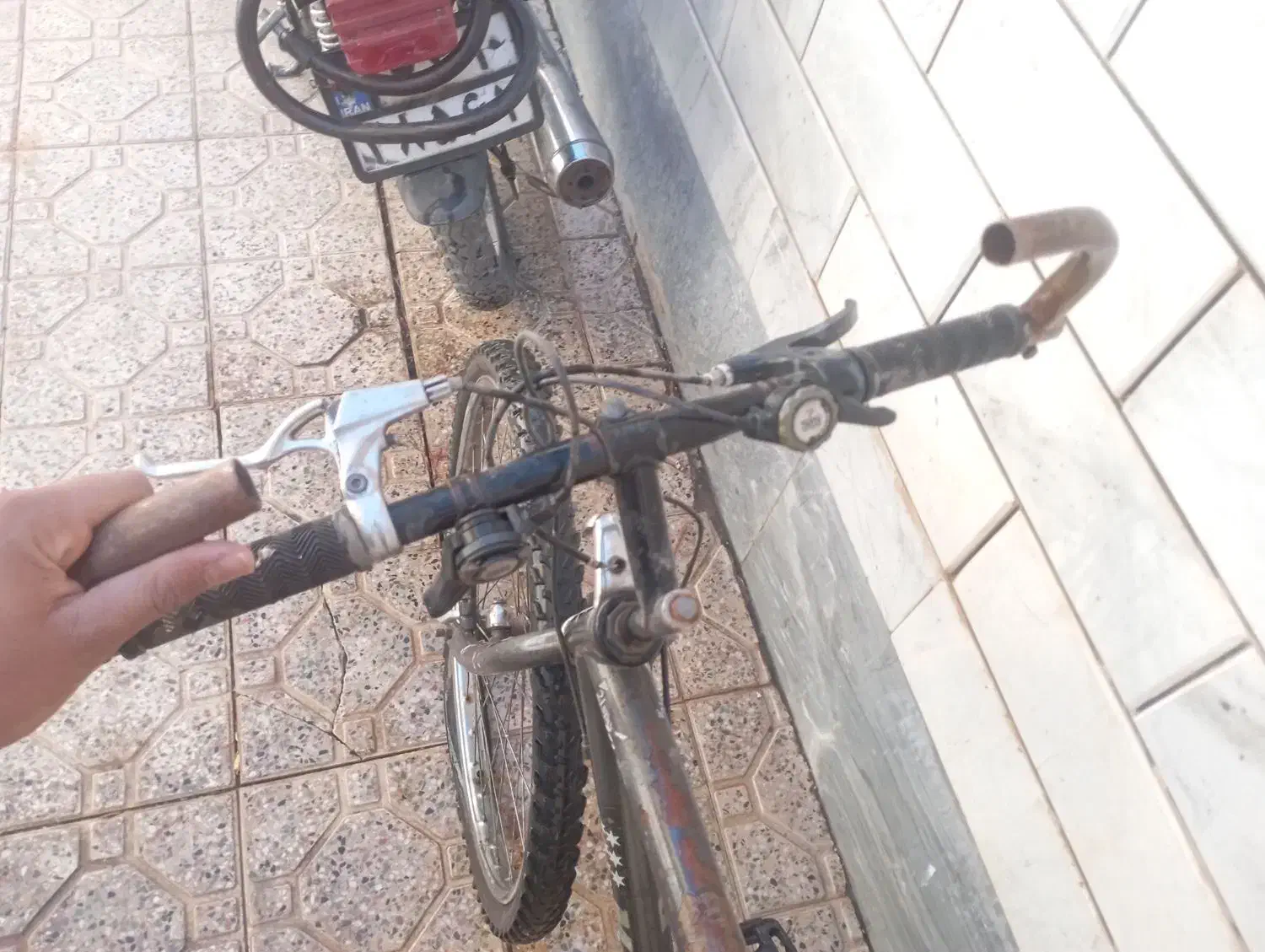 دوچرخه|دوچرخه، اسکیت، اسکوتر|شاهین‌شهر, گزبرخوار|دیوار