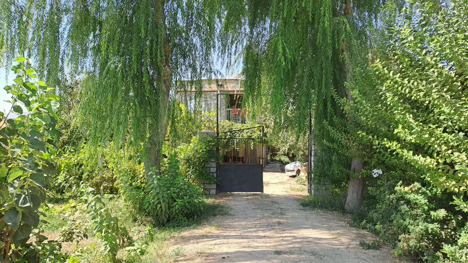 مفقودی کارت شناسایی|اشیا|ارومیه, |دیوار