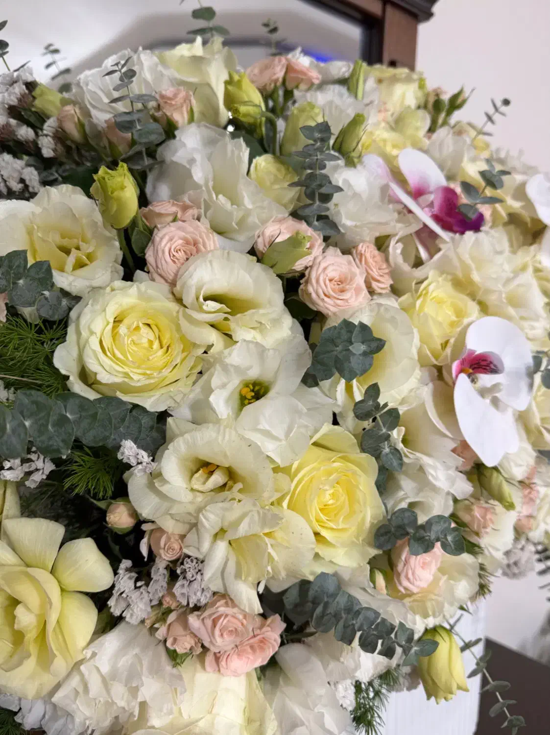 گل طبیعی|گل و گیاه طبیعی|اندیشه, شهرک صدف|دیوار