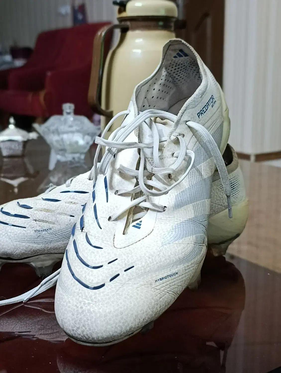 کفش فوتبال پردیتور|کیف، کفش، کمربند|مشهد, شهید رضوی|دیوار