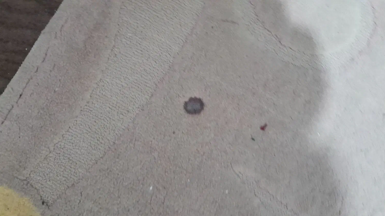 گلیم فرش پالاز ۶متری و ۴عددپشتی|گلیم، جاجیم، گبه|قم, محمد آباد|دیوار