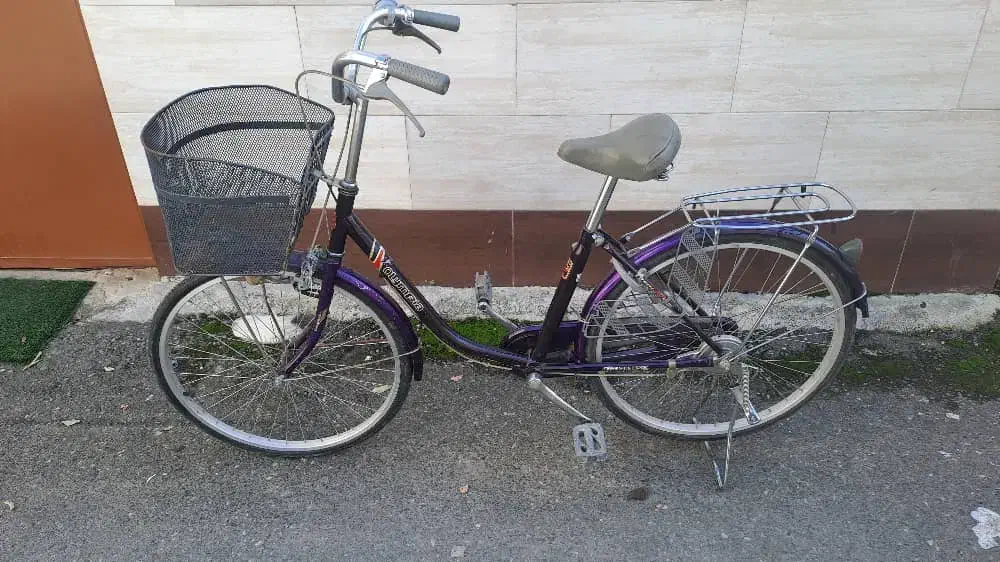 دوچرخه کلاسیک ( آنتیک )|دوچرخه، اسکیت، اسکوتر|رشت, منظریه|دیوار