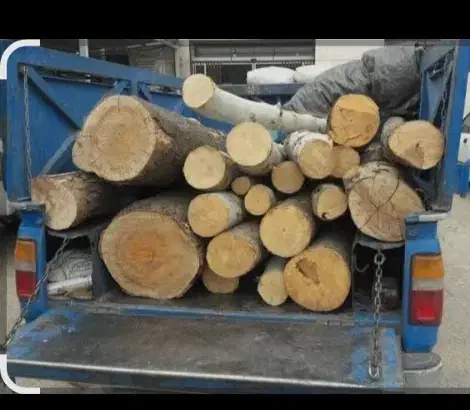 خریدچوب صنعتی هیزمی وزغالی|خدمات باغبانی و درختکاری|شهریار, شهریار|دیوار