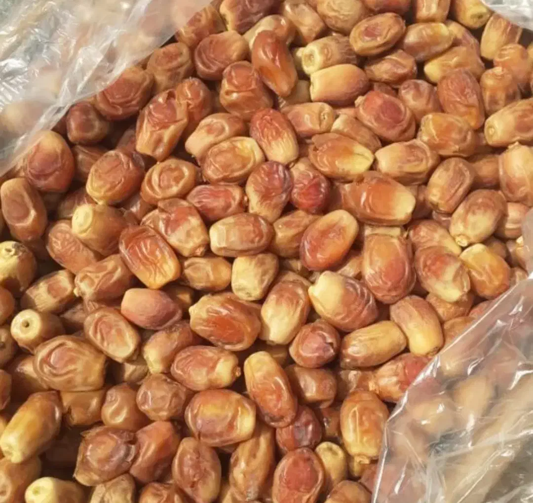 فروش خرمای قصب حدود 100کیلو بصورت یک جا|خوردنی و آشامیدنی|جهرم, |دیوار