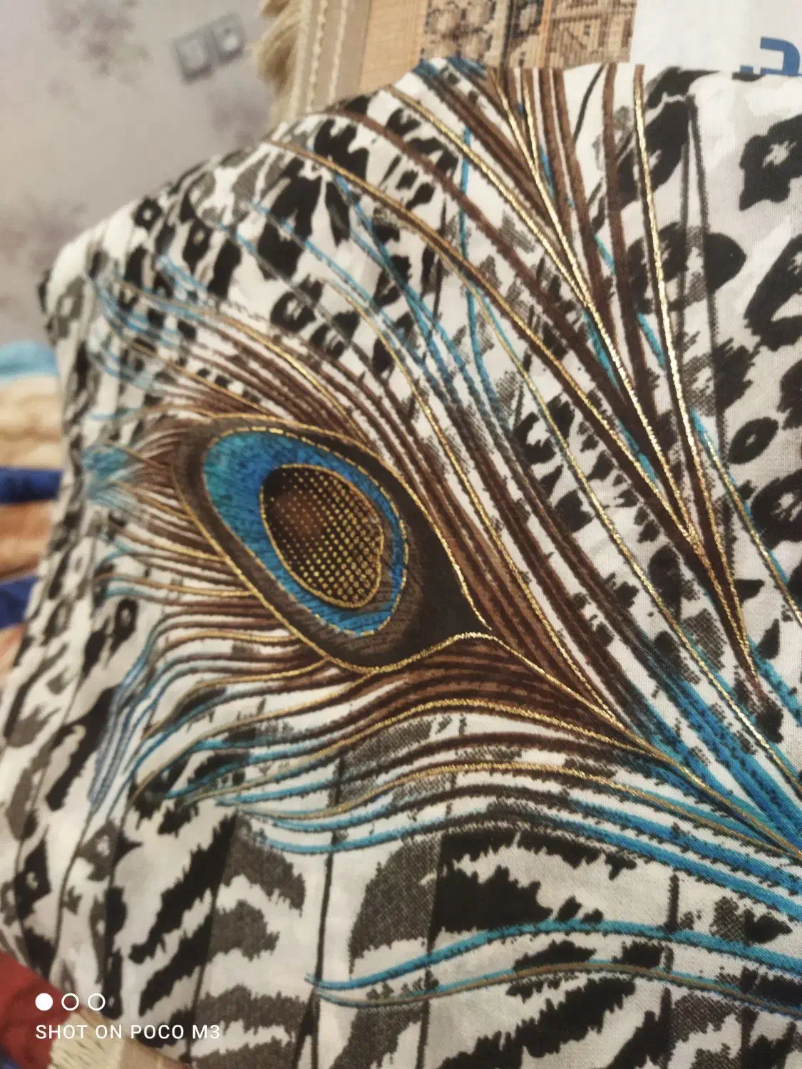 پارچه چادری|لباس|بناب, |دیوار