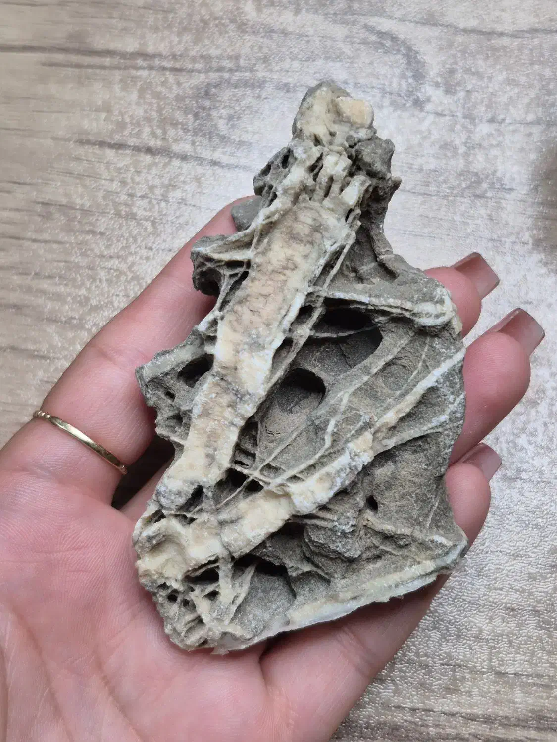 آمیتیست های خاص و کمیاب|جواهرات|سمنان, |دیوار